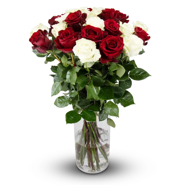 Kytice ekvádorských růží 80 cm